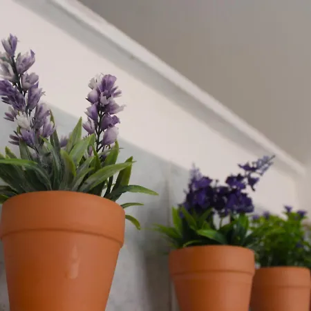 A Casa Di Martina * San Vito Chietino